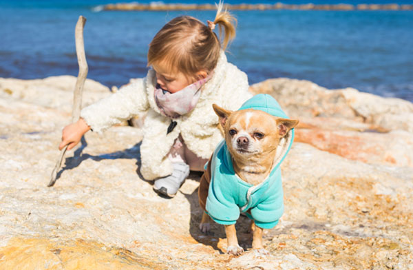 Kind spielt mit einem Chihuahua der einen grünen kuscheligen Hundemantel trägt - jetzt online kaufen auf Hundemantel-Mode.de