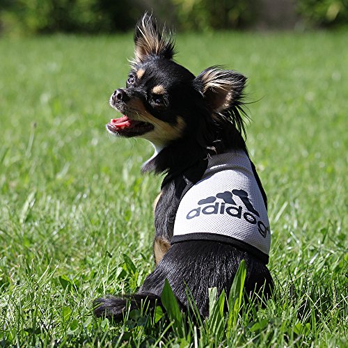 Hundeshirt, Sommershirt für Hunde ADIDOG - extra leicht - für den sportlichen Typ, XL, Rosa - 7